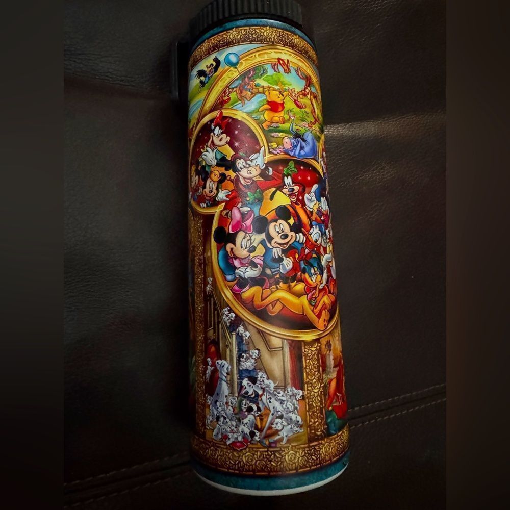 Disney Mickey Mouse & Friends  Outdoor Stainless Steel Vacuum Insulated  Bottle